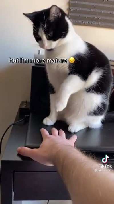 AAAAAAAAH