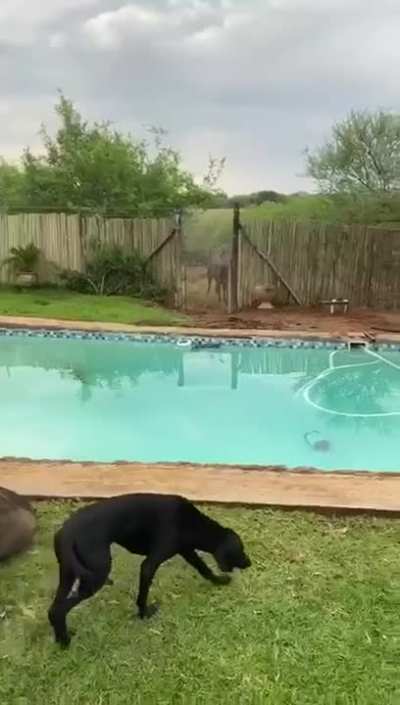 Family Snack Time in South Africa