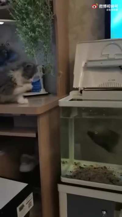 Кусь.