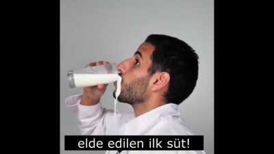 Lan bu ne olm
