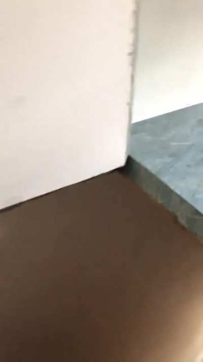 The back door to this flat