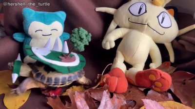 Happy Halloween!