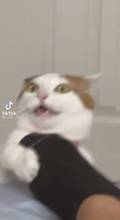 👁👅👁