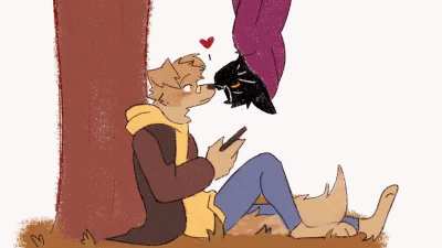 Furry_irl