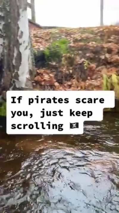 Pirates