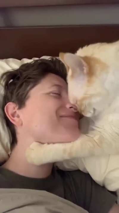 Let me love you :
