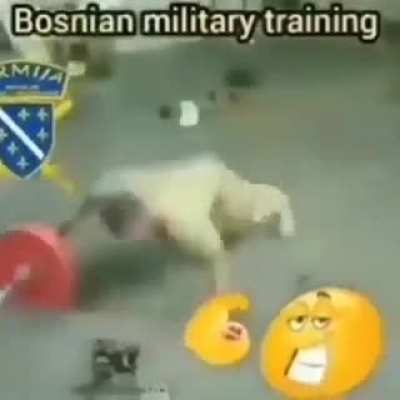 Bosnia stronk