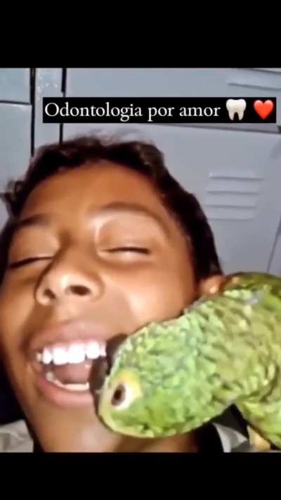 O Louro da Odonto