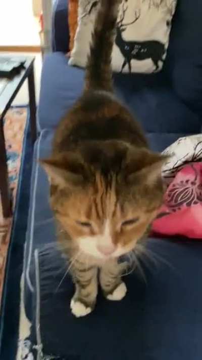 Good morning too Pumpkin!