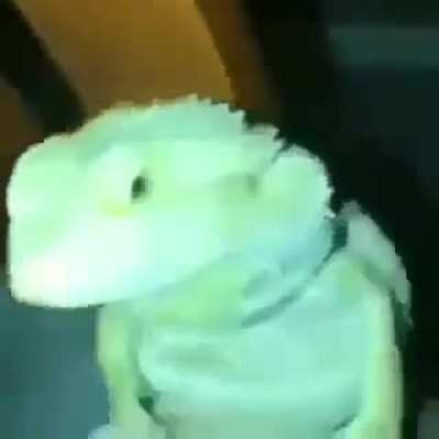 Me derrubaram aqui
