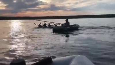 This amphibious sled pulled by Reindeer in Yakutia, Siberia.