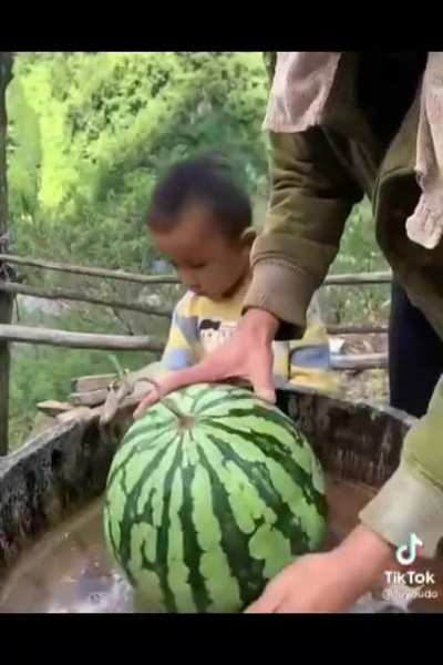 Someone likes watermelon