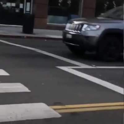 Just another day in traffic.