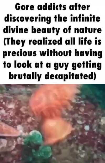 Life beautiful