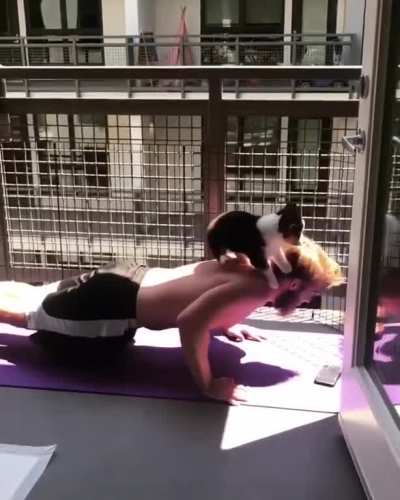 Let me help you with your exercise