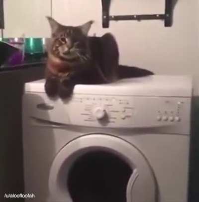 u_aloofloofah
