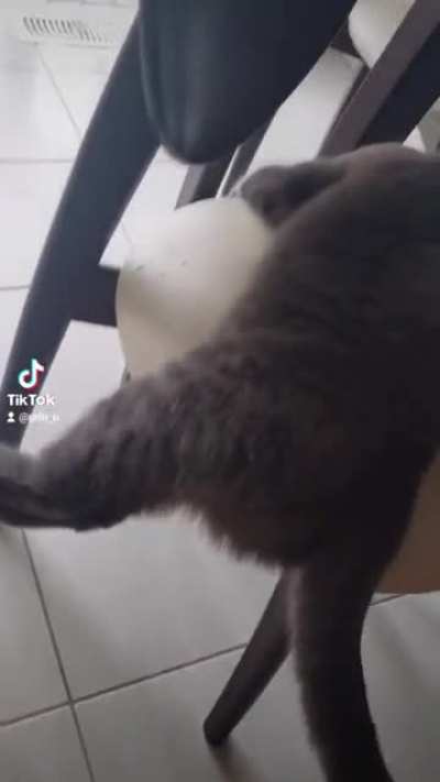 Peek a boo