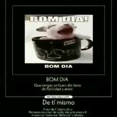 Pog bom dia