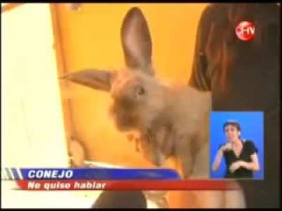 Precion social
