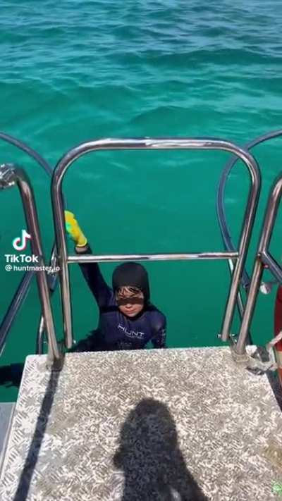 Surprise shark