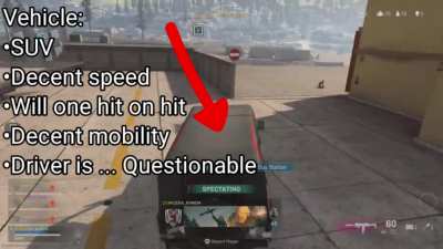 Snipers and shotguns may not be my thing, but cars aren't my teammate's thing.