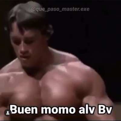 Xd