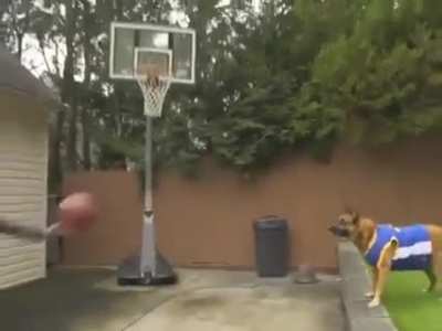 AAAAAA-
