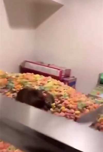 cereal