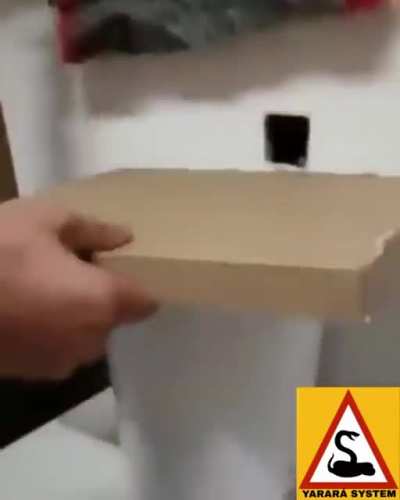 Control de plagas en misiones