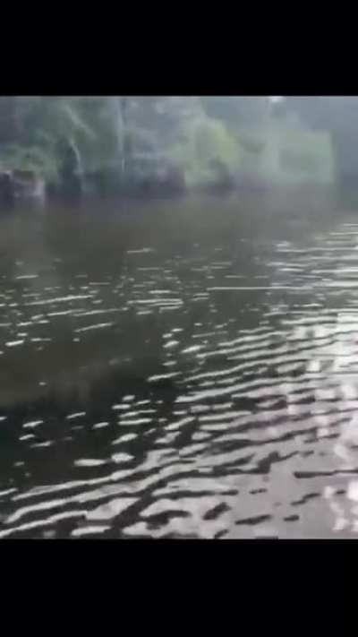 that’s gotta be a monster