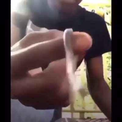 Snek
