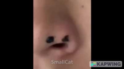 SUIIII