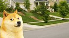 le Chip Da Ripper has arrived