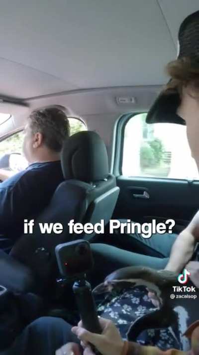 Uber driver gets an unusual passenger
