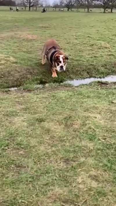 Jump