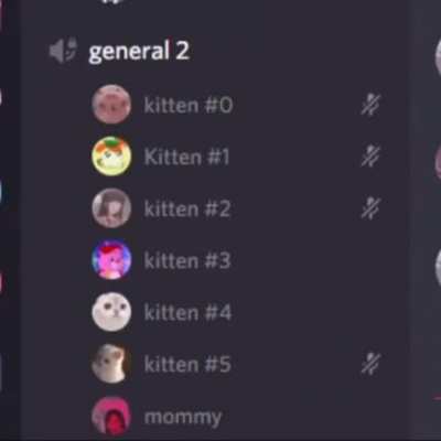 Hi mommy, meowwww!