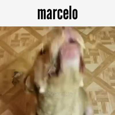Fuck no babyy