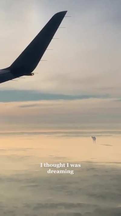 Thought I was dreamk