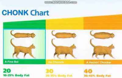 Ậ