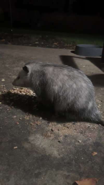 Turn around Miss Betty so we can see that cute face!