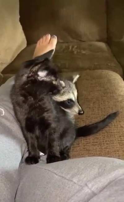 Time for a massage.