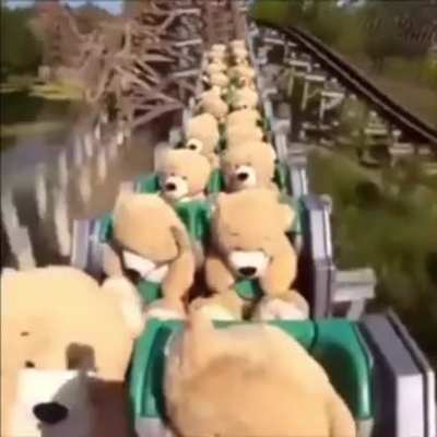 Rulercoaster
