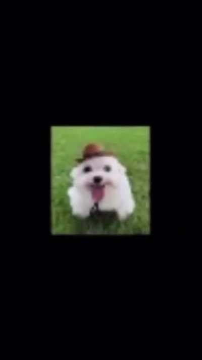 🤠