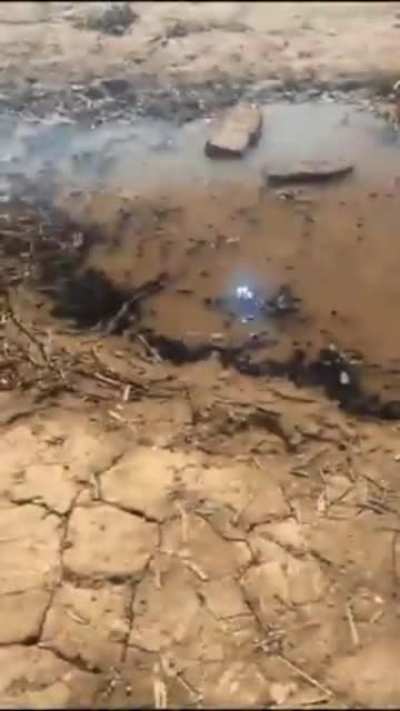 Polarized Fishing Glasses in Action