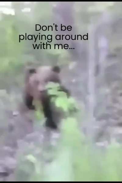 Found The Druid