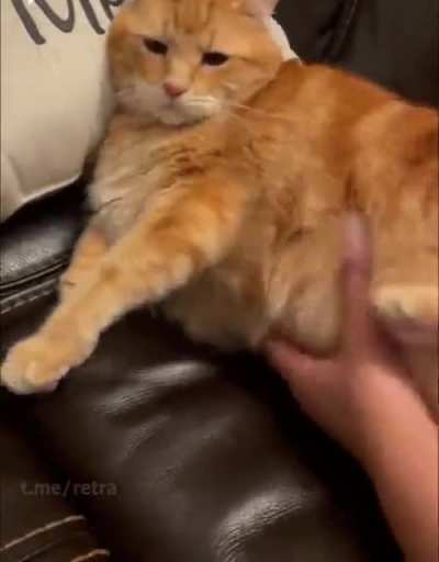 Don’t bother me