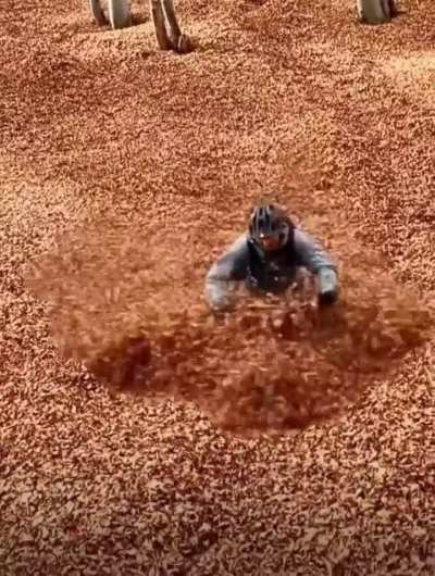 ThisLooksFun 