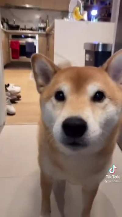 Mmmiaaaaa