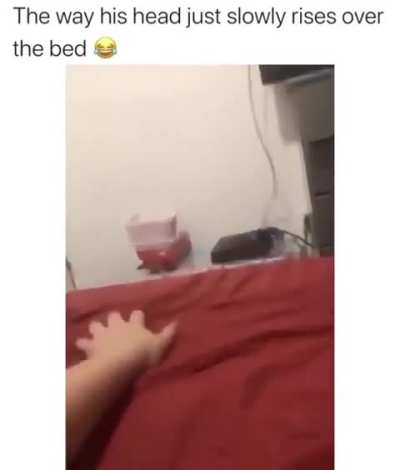 jumpscare.
