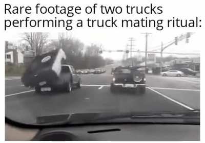 It's a really rare sighting and makes us understand their behavior better